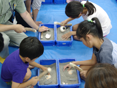 �s���s���������������Z���^�[�L�֍��