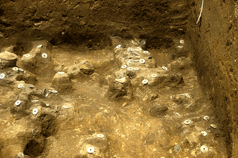 �z�����ɎT���ꂽ�K