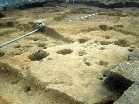 <FONT size="-1">����ː��R���B�n�_�i����������Ձj�@����������</FONT>