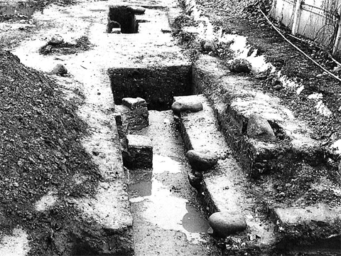 �����w���Ցb��