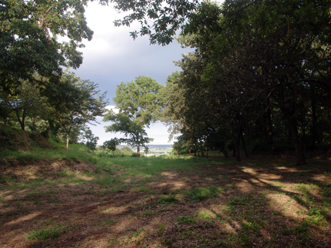 �C�ۑ�ˌÕ����a����C�ݕ����]��