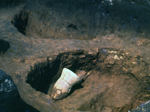 ���G������o�y�����[��