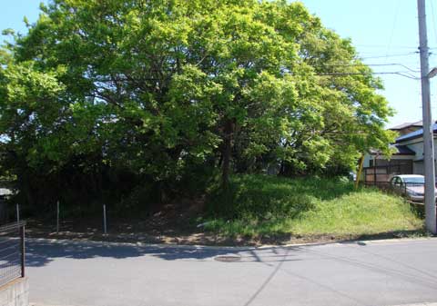 �N�˓V�_�R�Õ�