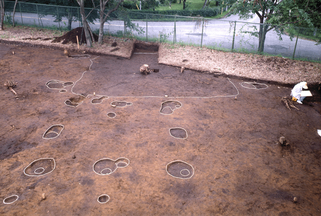 ���`��d�ƌ@����������