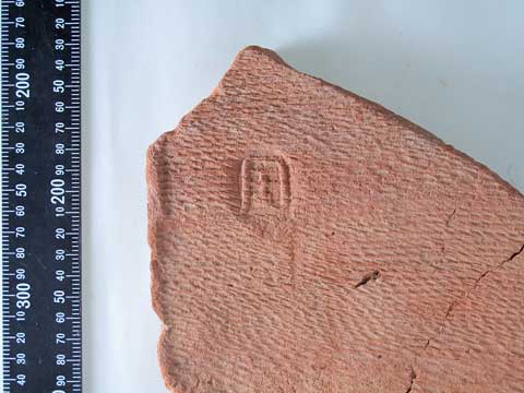 �u���v��������