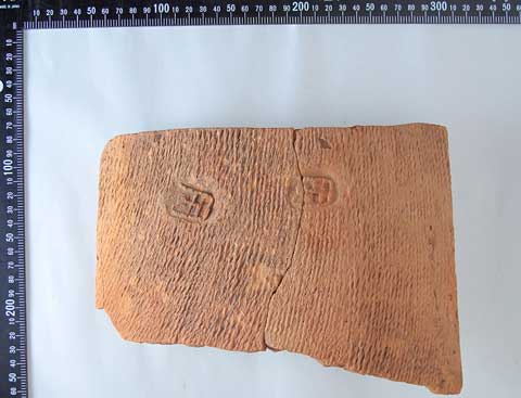 �u���v�����������ʂ̂��ĕz��