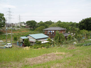 千草山遺跡遠景