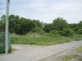 千草山遺跡近景