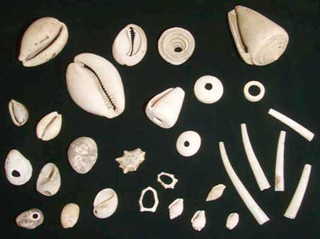 �L�����g��