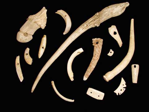 �C�m�V�V�E�V�J���p���i