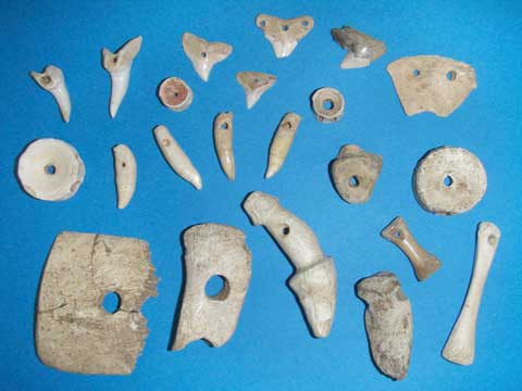 ���ލ����i