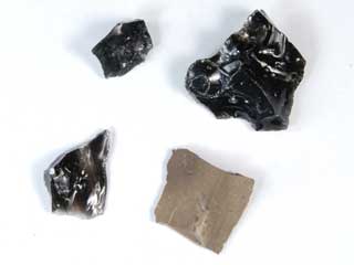 �g�p���̂��锍��