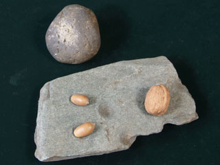 �Ȑ΁E����