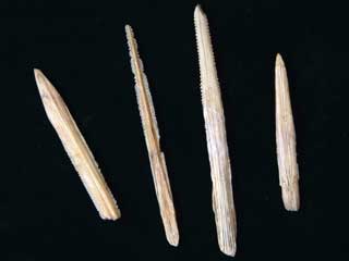 ���X��h�ˋ�