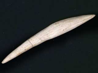 �m�̎���h�ˋ�