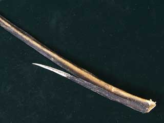 �A�J�G�C�@��