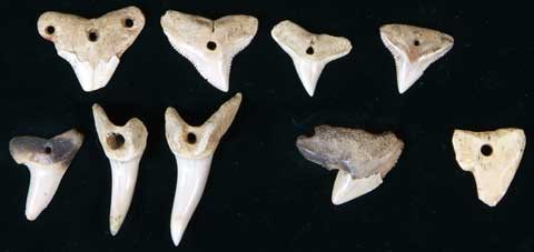 �����i�T�����j