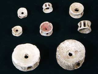 �����i�T���ō��j