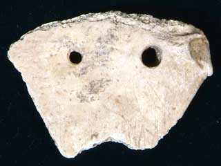 �����i�X�Y�L�ҊW���j