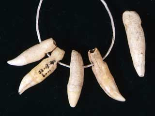 �����i�o���h�E�C���J���j