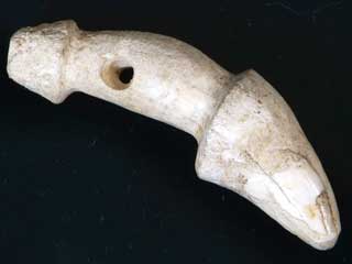 �����i�A�V�J���j