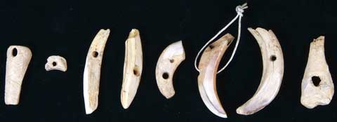 �����i�V�J�E�C�m�V�V���Ȃǁj