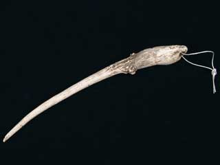 ���p�@�����肩