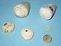 �C���K�C������