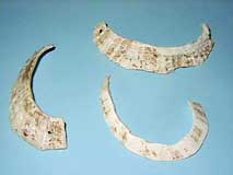 �I�I�c�^�m�n���L��