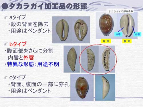 �^�J���K�C���H�i�̌`��