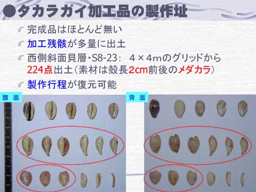 �^�J���K�C���H�i�̐��욬