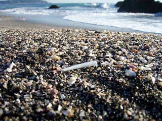 �c�m�K�C�Y��