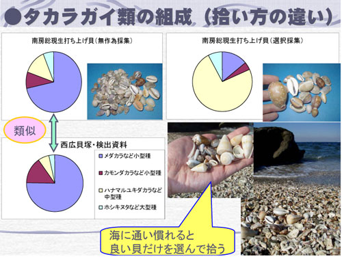 �^�J���K�C�ނ̏E�����g��