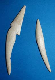 ���L�L�ˏo�y�̊O�m������