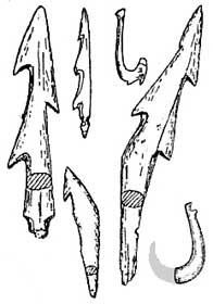 ���l�s�̖����L�ˏo�y�̊O�m������