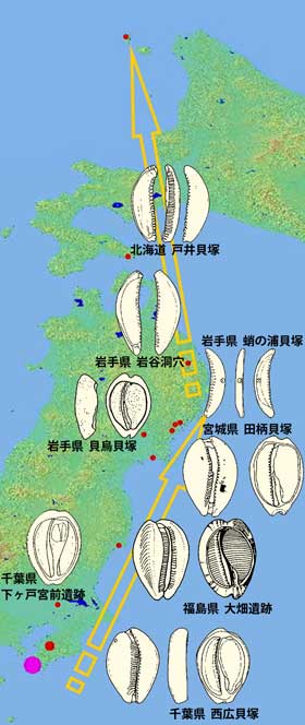 �z�V�L�k�^���H�i�̗���