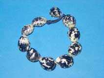 �A�}�I�u�l�����L���畜�������L���i