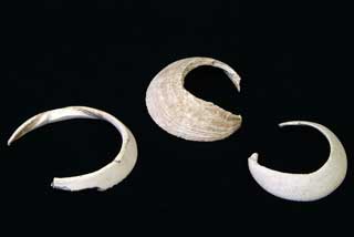 �^�}�L�K�C