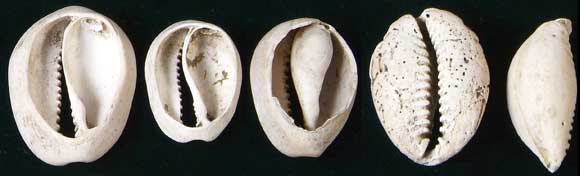 �n�i�}�����L�_�J��