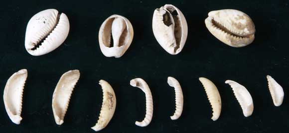 �J�����_�J��