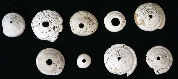 �T���K�^�C��