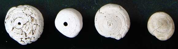 �n���V���K�C