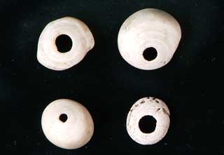 �x�b�R�E�C��