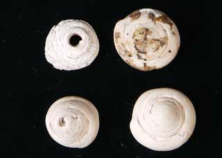 �}�K�L�K�C