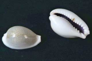 �n�c���L�_�J��