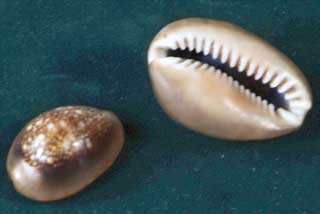 �n�i�}�����L�_�J��