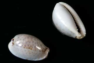 �I�~�i�G�V�_�J��