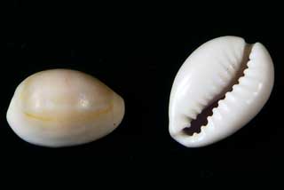 �n�i�r���_�J��