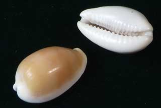 �`���C���L�k�^