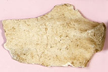 �o���h�E�C���J